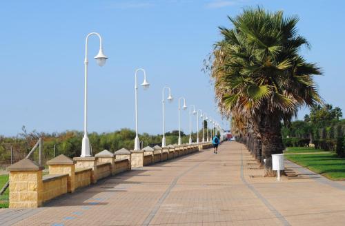 Apartamentos Leo Islamar