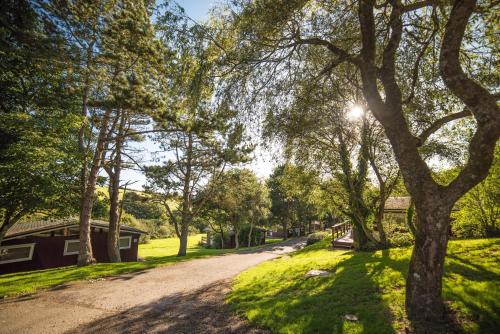 Timber Hill Self Catering Cedar Lodges