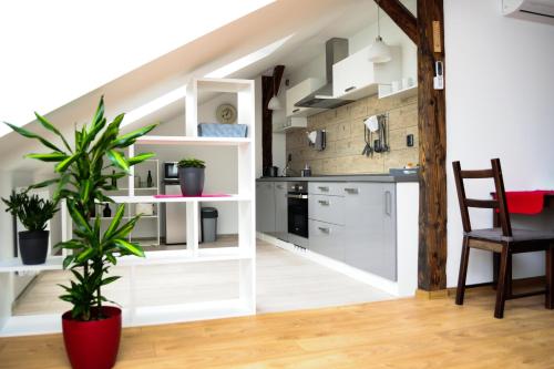 Apartmany Rumpa Drinks