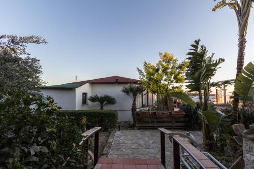 Eyexei Domus