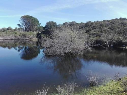 Azienda agricola Li Nalboni 24/26