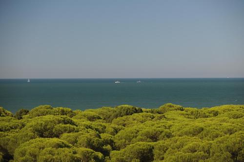 Leo Punta Umbria Deluxe