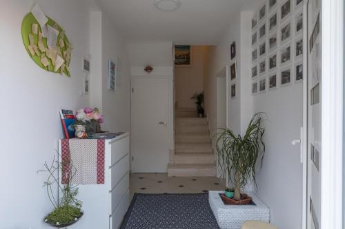 Guest House Lile