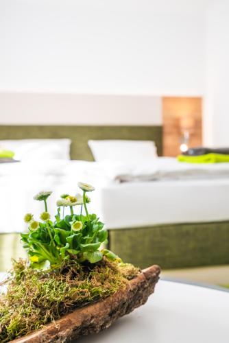 Hotel-Pension Treppengasse