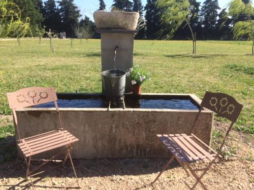 Safraniere Des Sorgues