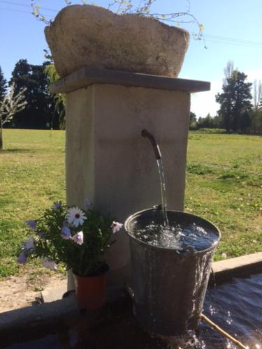 Safraniere Des Sorgues