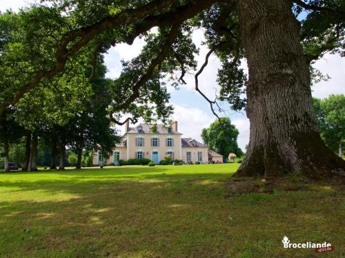 Chateau du Pin