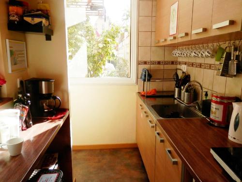 Barcelona Central Garden