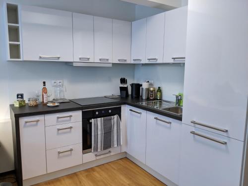 AP 1 - Apartments 4U Březinova "Overnight Simply