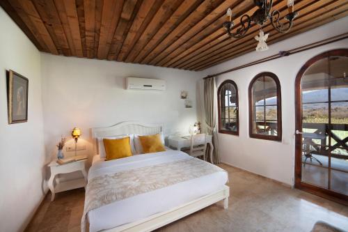 Vinifera Vineyards Hotel