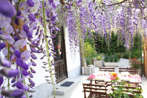 Villa Dei Fiori