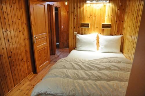 Libellule Style Vielsalm