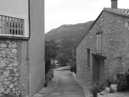 Les Lavandes