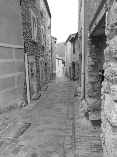Les Lavandes