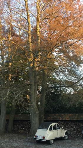 Chambre d'Hôtes Les Augustins