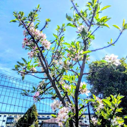 Casa Vale Do Rio Ovil