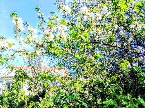 Casa Vale Do Rio Ovil