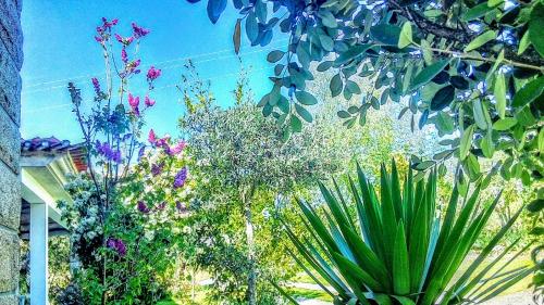 Casa Vale Do Rio Ovil