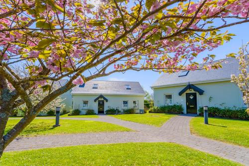 A Capall Dubh B&B
