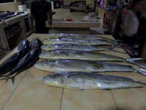 Sailfish Bay Surf & Big Game Fishing Lodge