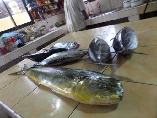 Sailfish Bay Surf & Big Game Fishing Lodge