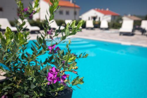 B&B Villa Maris