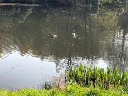 Finlaystone Barns Self Catering