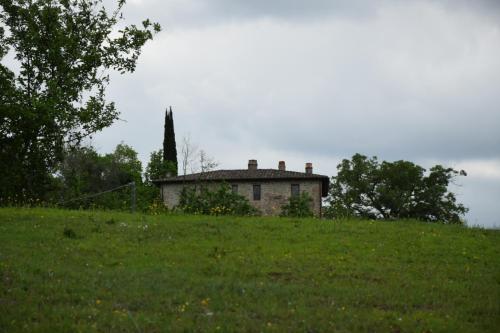 Agriturismo Il Poggio Degli Scoiattoli