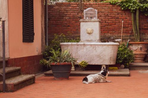 Il Villino Affittacamere