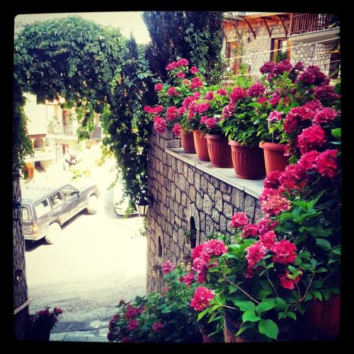 Hotel Asteri Metsovo