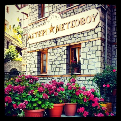 Hotel Asteri Metsovo