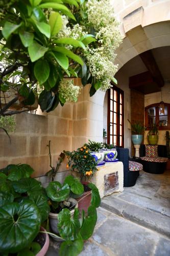 Maria Giovanna Guest House