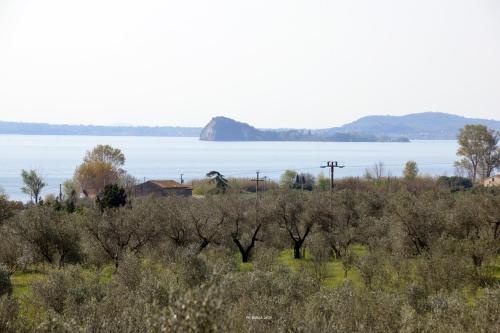 Il Casale Degli Ulivi