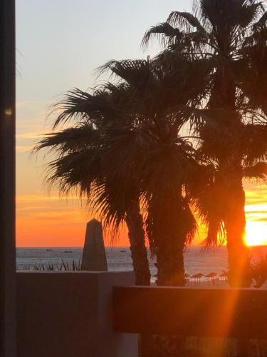 Apartasuites Royal Zahara, Máximo confort con vistas al mar