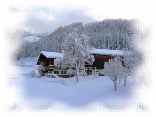 Aster Boutique Hotel Zillertal