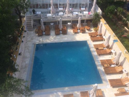 Çankaya