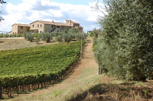 Linearis Holiday House & Agriturismo Sertofano