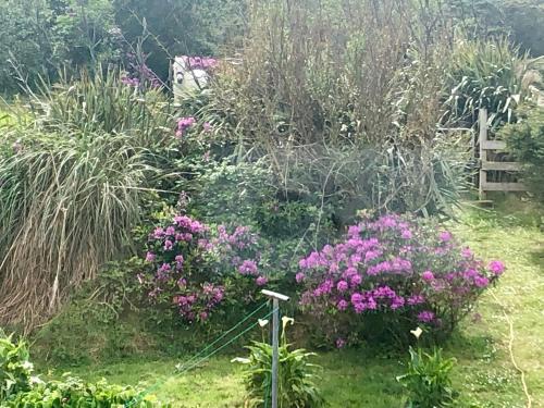 Buttermilk Lodge Guesthouse