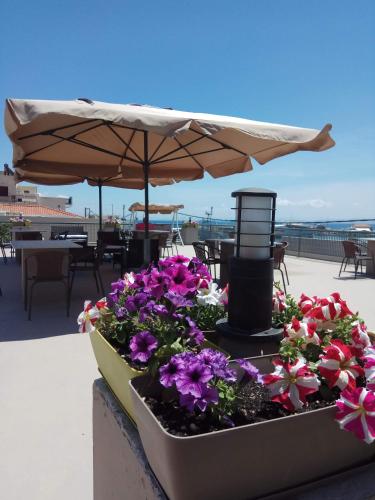 City Point Boutique Hotel