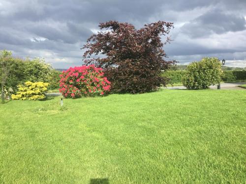 Woodcock Faulds House