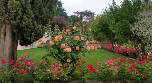 Agriturismo Maddalene 101