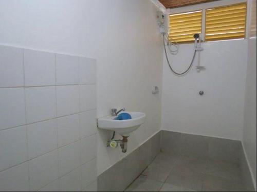 Anilao Scuba Dive Center Resort