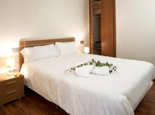 Andorra4Days Incles Novell II