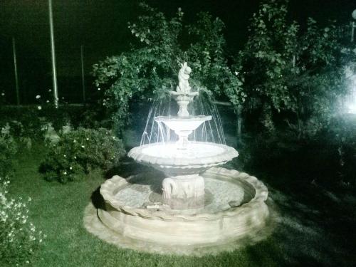 Bed And Breakfast Green Garden