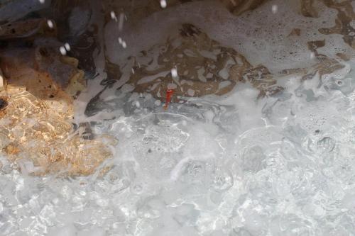 Bed And Breakfast Green Garden