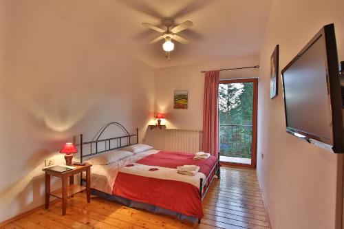 Rooms and apartments Feral