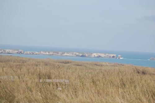 Freesurf Camp & Hostel