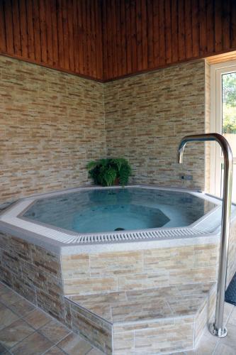 Arany Szolo Wellness Apartmanház