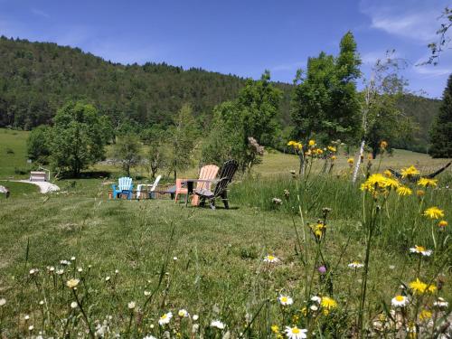Les Chamois De La Combe En Haut