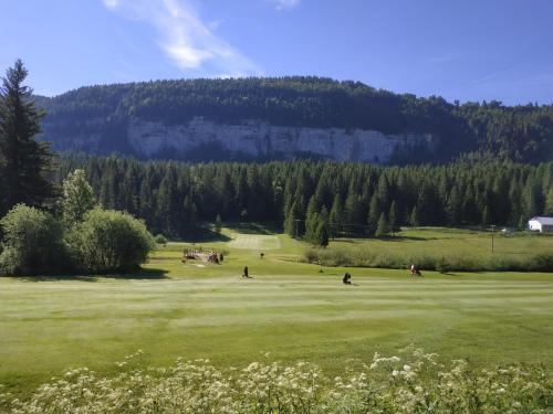 Les Chamois De La Combe En Haut